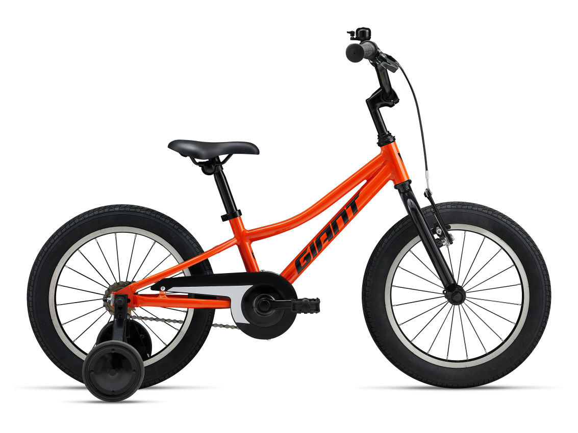 MY24 Animator C/B 16