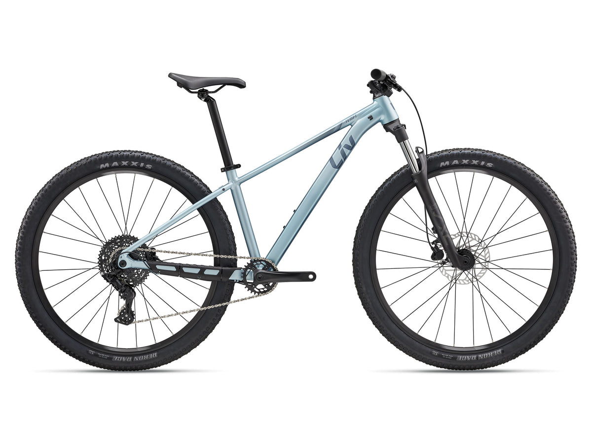 2027 Liv Tempt 2 (29er) - Cryo Silver - Pre-order now