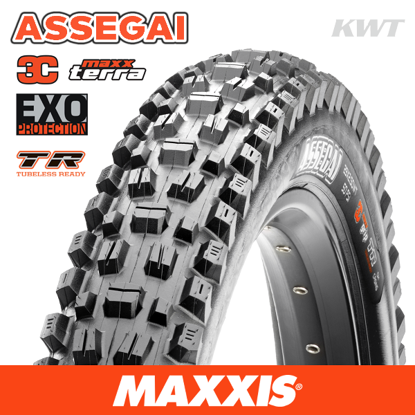 MAXXIS Assegai - 29 X 2.50 WT - Folding TR - EXO 60 TPI - 3C MaxxTerra - Black