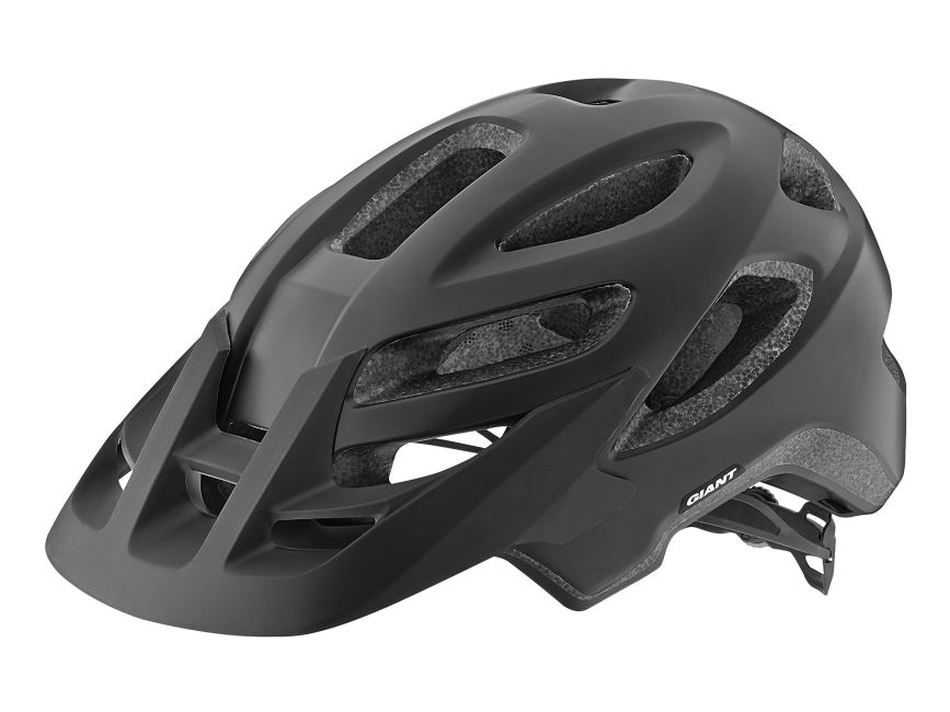 Giant Roost Helmet