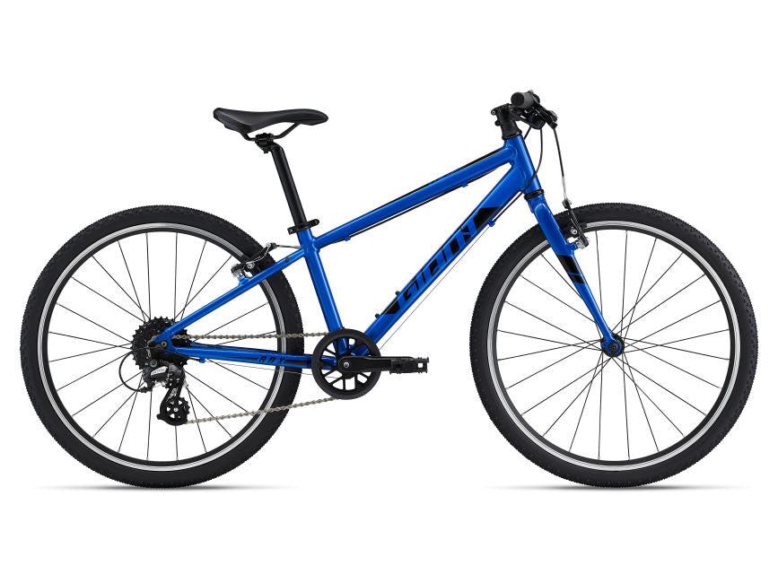 2022 Giant ARX 24