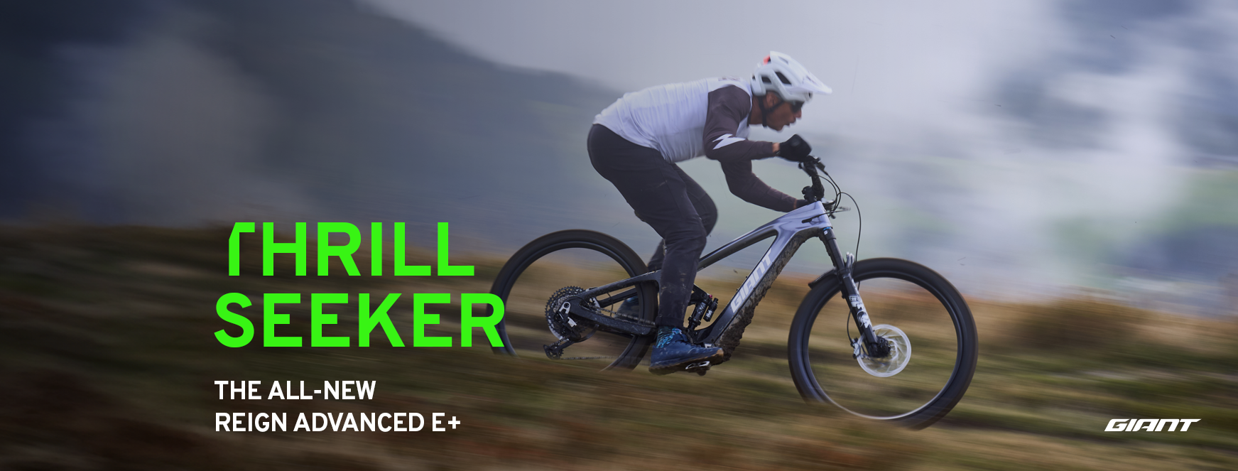 giant gold coast bicycle Roam Disc 2 and disc brakes give you added control on rugged roads or dirt Giant Gold Coast Bike