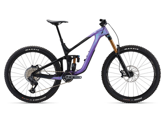 2024 Giant Reign Advanced 1 - Blurple