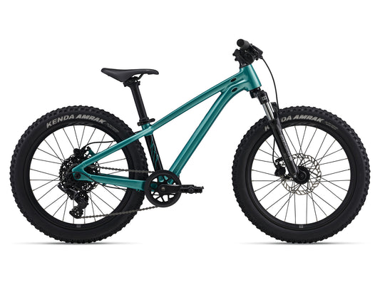 Giant STP 20 FS / One Size / Teal