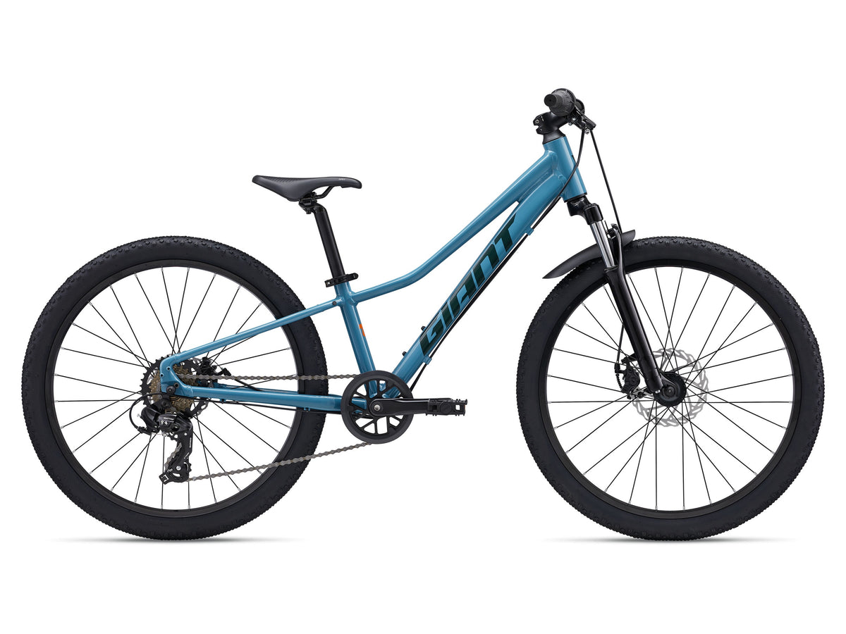 2027 Giant Talon 24 Disc - Aquarium - Pre-order now