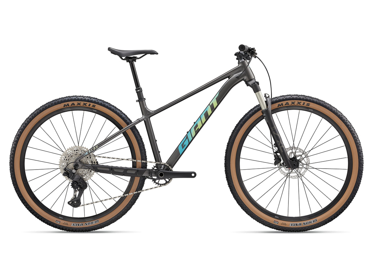 2027 Giant Talon 0 (29er) - Stealth Chrome - Pre-order now