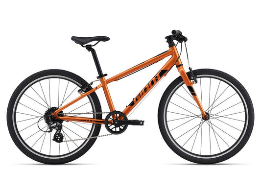 2022 Giant ARX 24