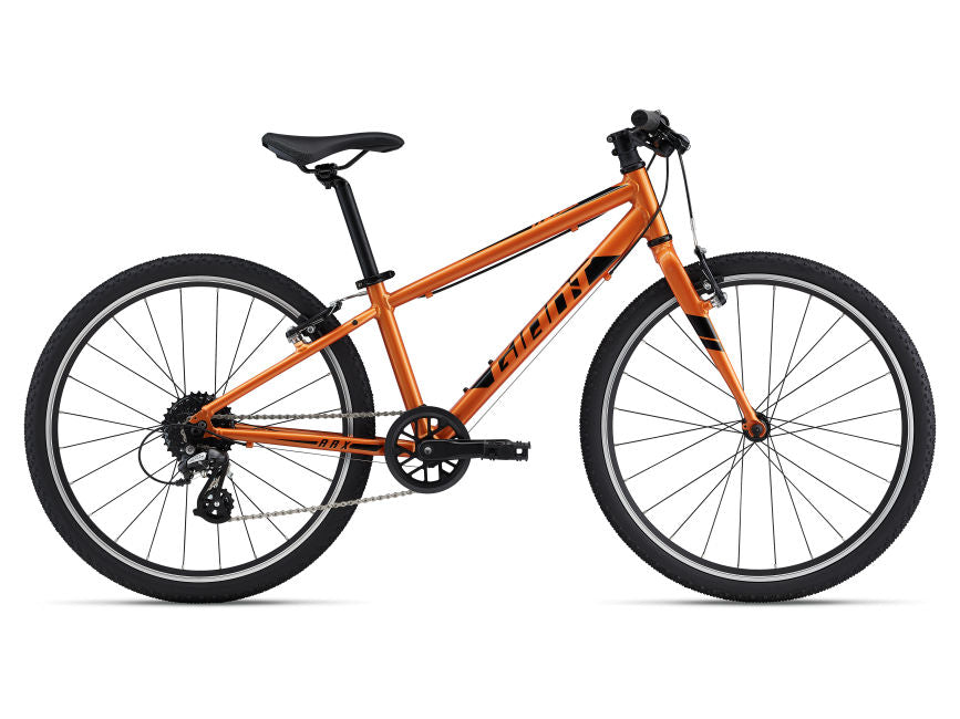 2022 Giant ARX 24