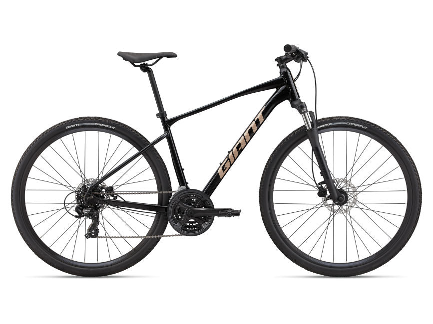2022 Giant Roam Disc 4